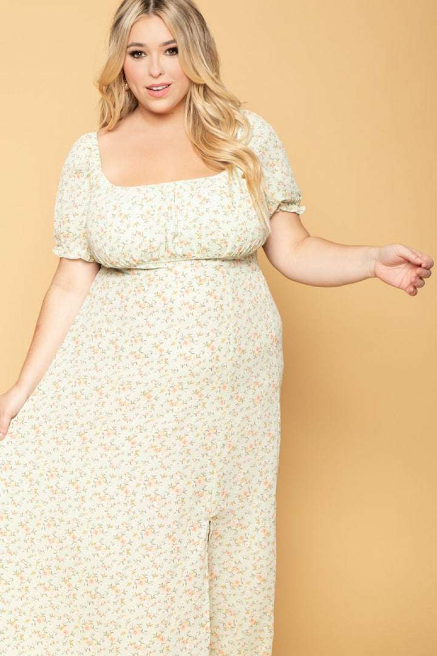 Dresses * | Hesperus Plus Size Marguerite Floral Dress New Arrivals Mint